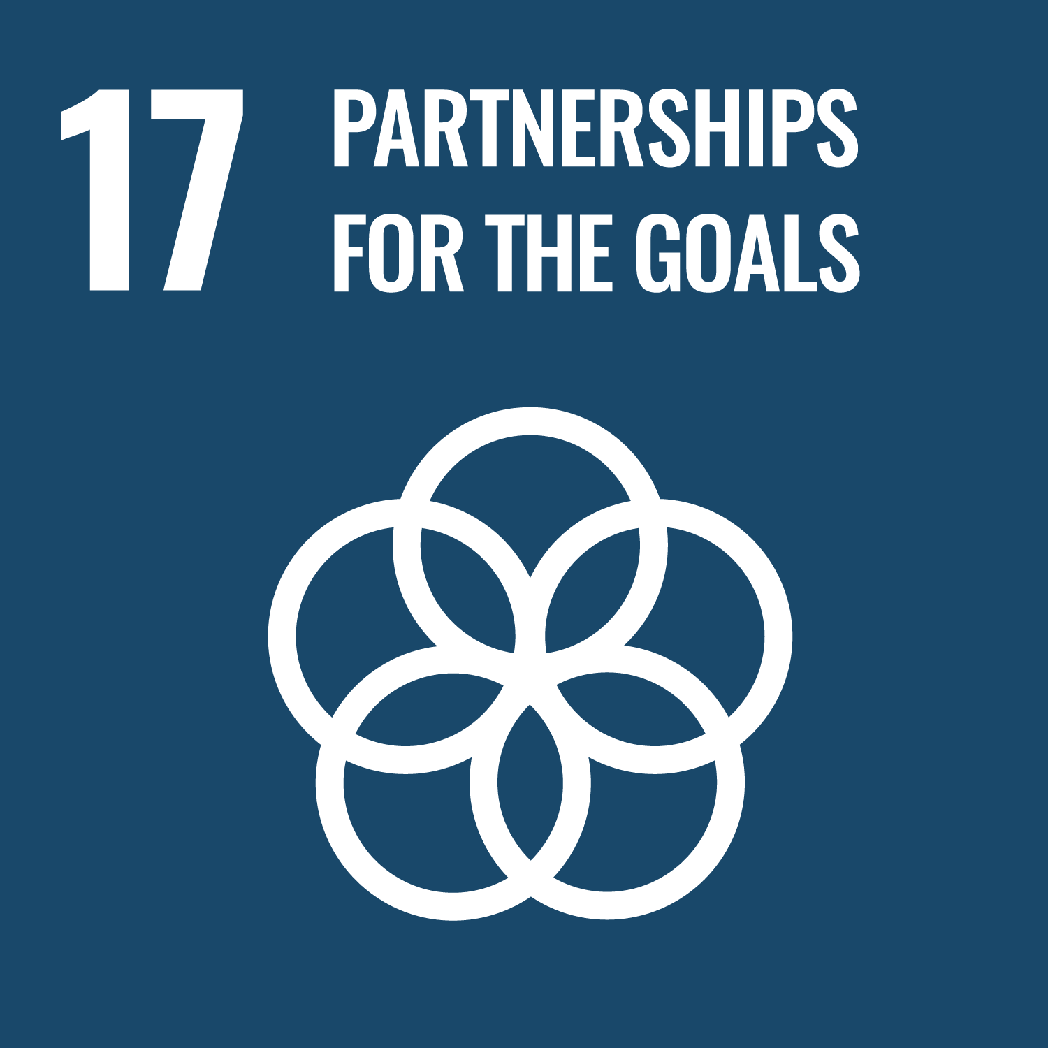 Goal 17: Partnership for the Goals